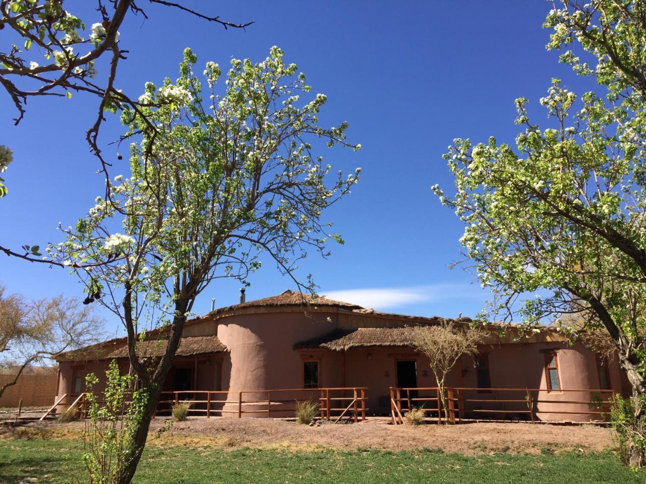 Sami Atacama *